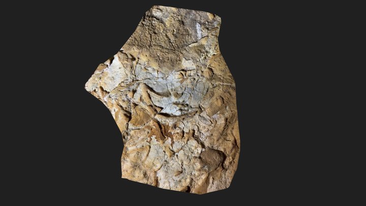 Laci-zsomboly Megalodus 2023 3D Model