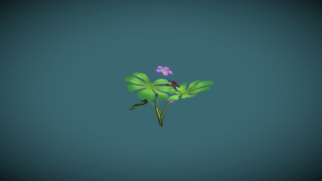 Hibiscus 3D Model