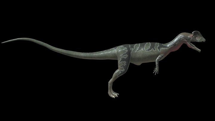 Dilophosaurus wetherilli 3D Model