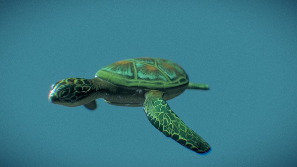 Green Sea Turtle - 3D model by ajven [b377b32] - Sketchfab