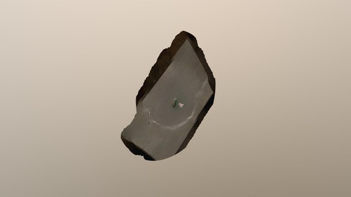 trnio tesy 3D Model