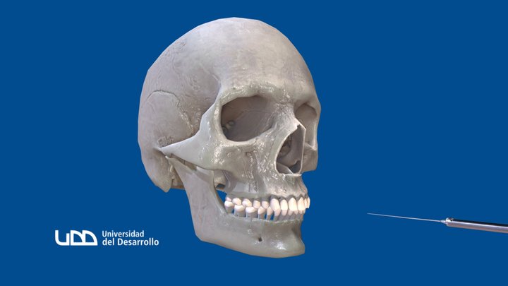 Odontología 2023 3D Model