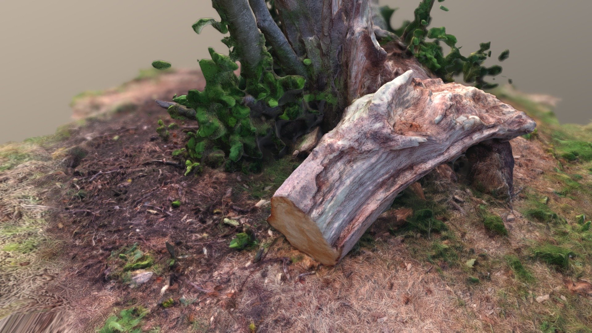 Low-Poly Tree