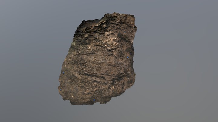 Huella de un canasto de mimbre sobre limo. s.XIV 3D Model