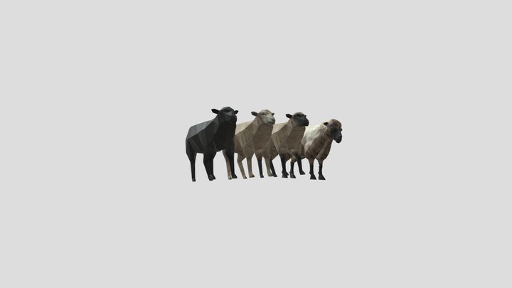 Овцы – Modelo 3D gratuito STL