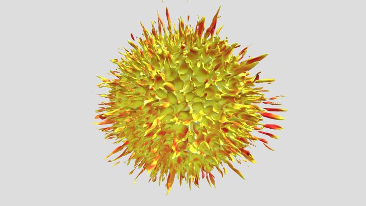 dandelion remnant 3D Model