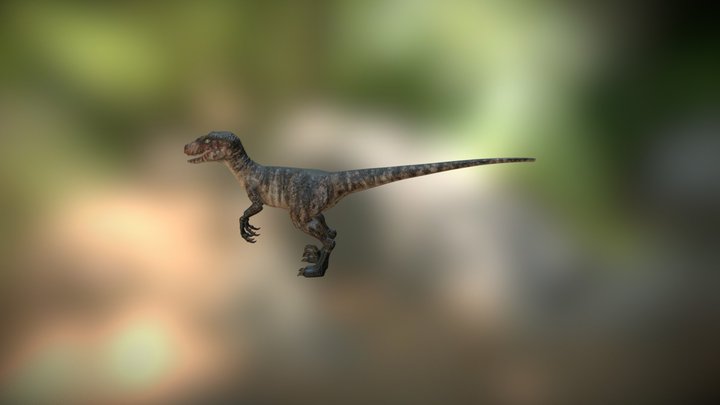 Velociraptor 3D Model