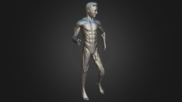 Human Anatomy Sculpture Study 3D Model