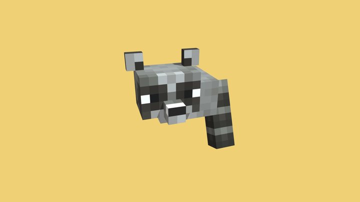 raccoon 3D Model