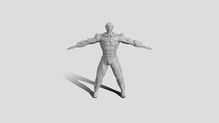 Raiden_low 3D Model