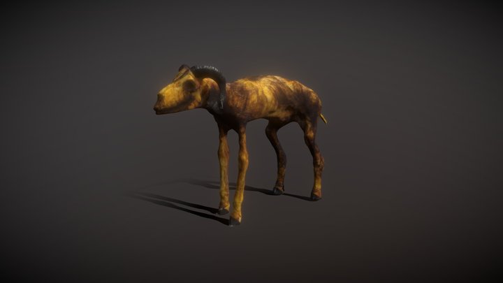 Goat-corpse-photogrammetry scan 3D Model