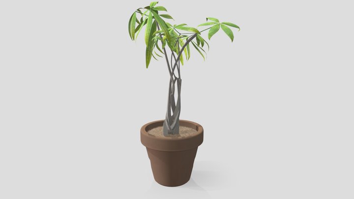 wk8_plant_dobler_andrew 3D Model