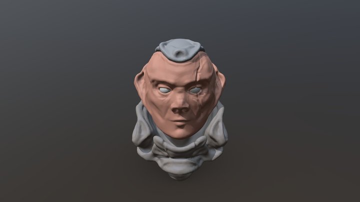Head2 3D Model