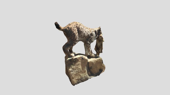 Norwegian Lynx 3D Model