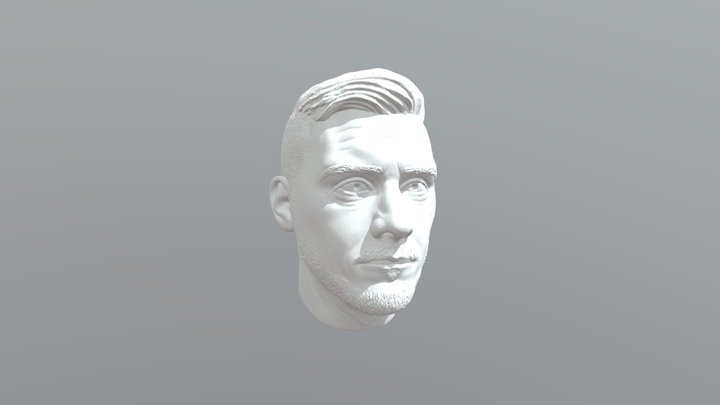 dantranet 3D Model