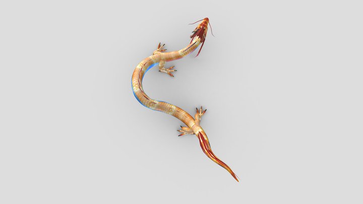Dragon 3D Model