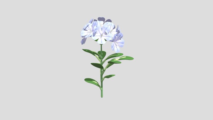 Blue Plumbaga 3D Model