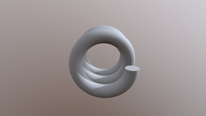 Coil 3D Model