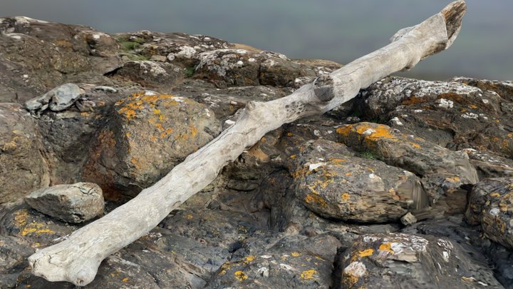 Gullane Log – Modèle 3D gratuit STL