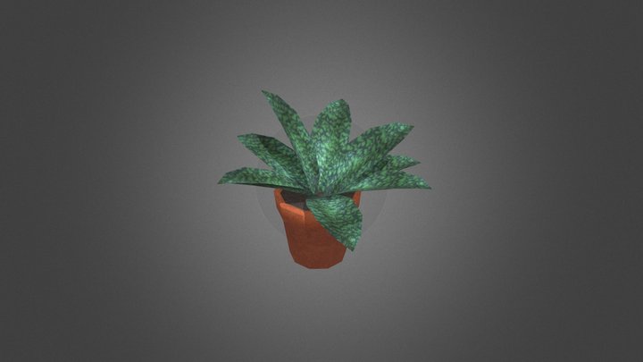 [LOW POLY] Snake Plant 3D Model