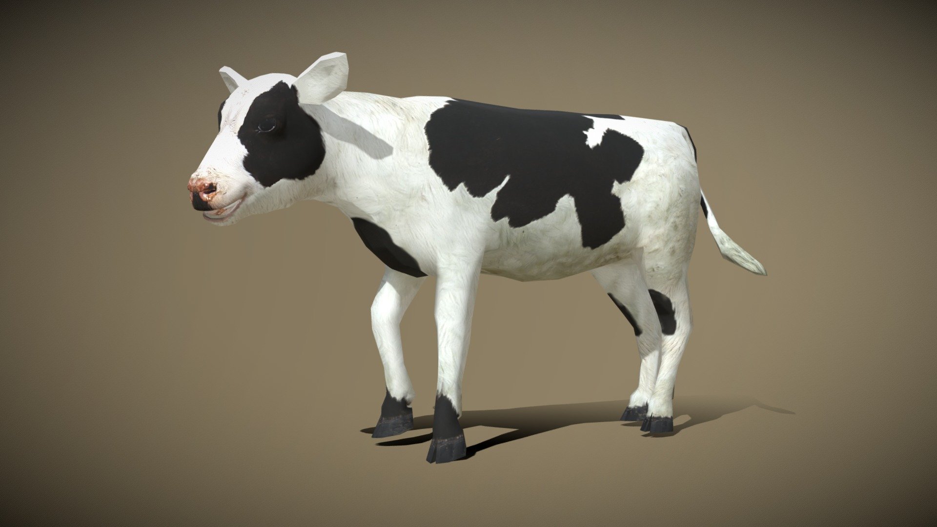 3DRT - domestic animals - calf