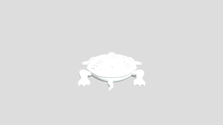 Feng Shui Turtle – 3D Printable Model 3D Model