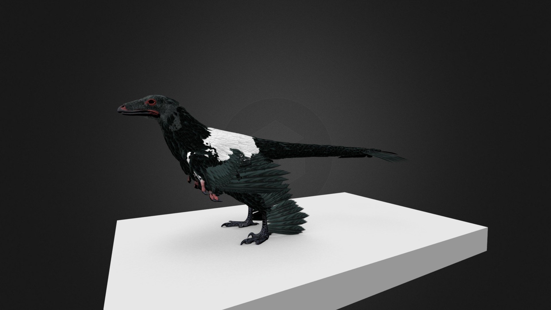 Microraptor gui #3DSM2 - 3D model by Mieke Roth (@miekeroth) [b3a44e2 ...