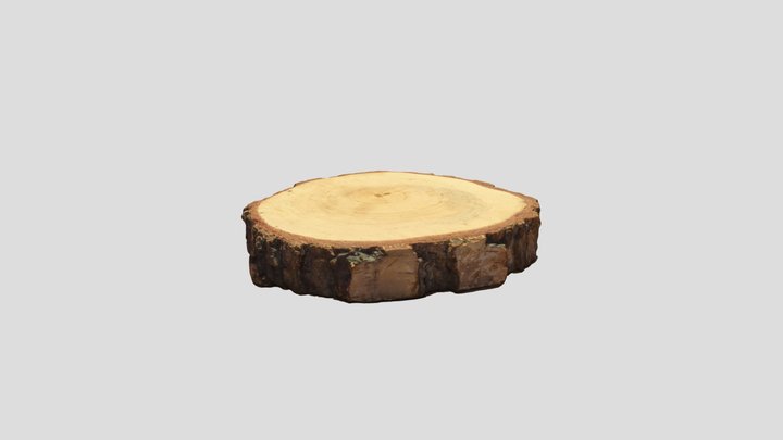Wood 2 – Free 3D Model STL