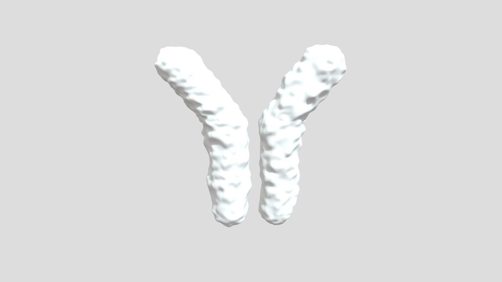 Human Antibody