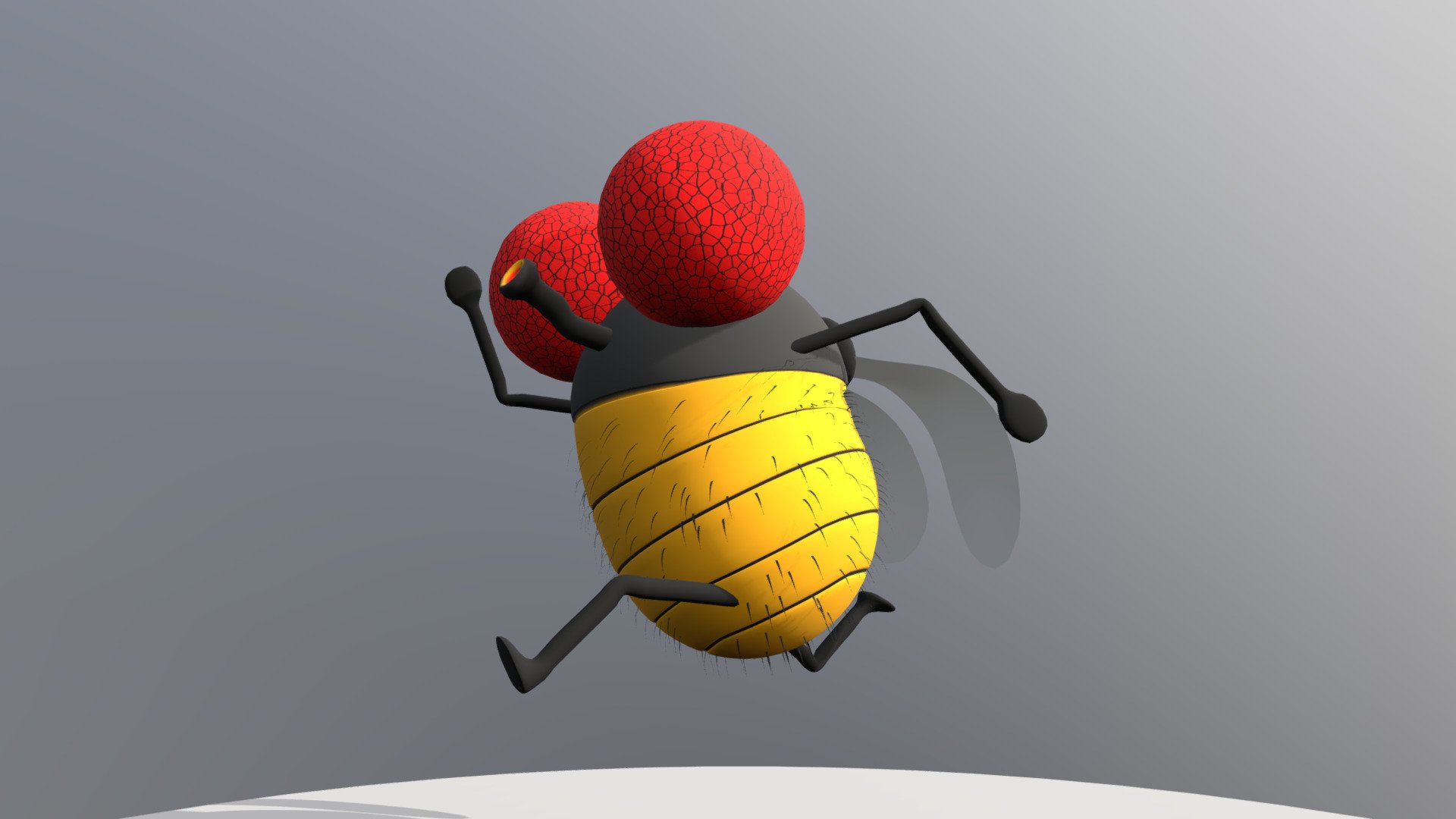 Fly Fly Animation Set 1