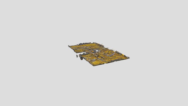 Untitled Scan 3D Model
