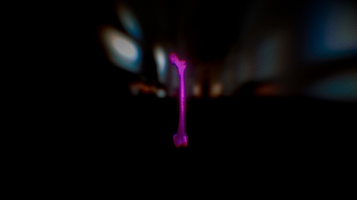 Femur HQ No Texture 3D Model