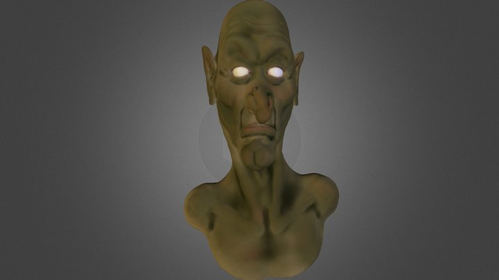 headsin 3D Model