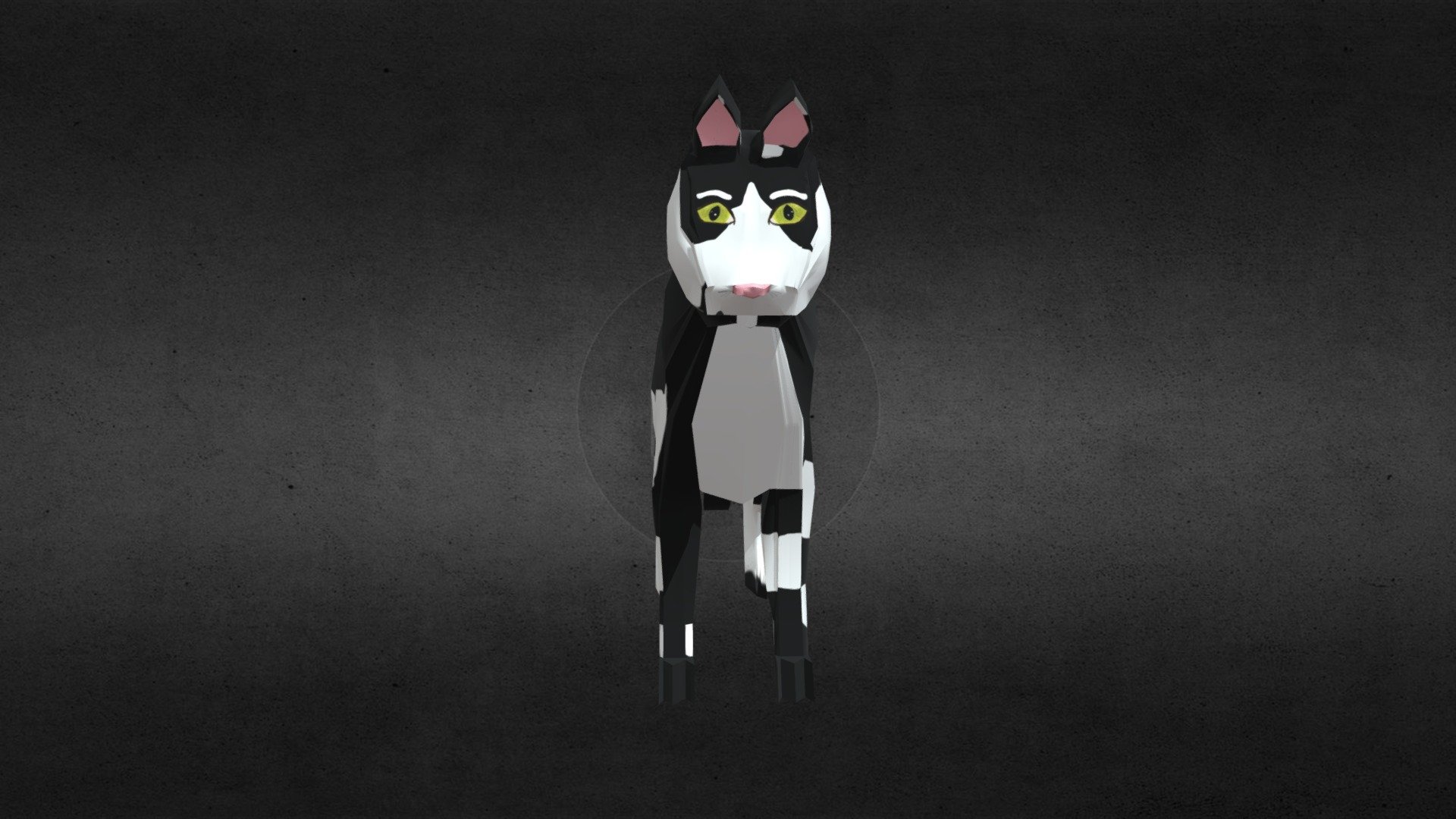 Cat Model
