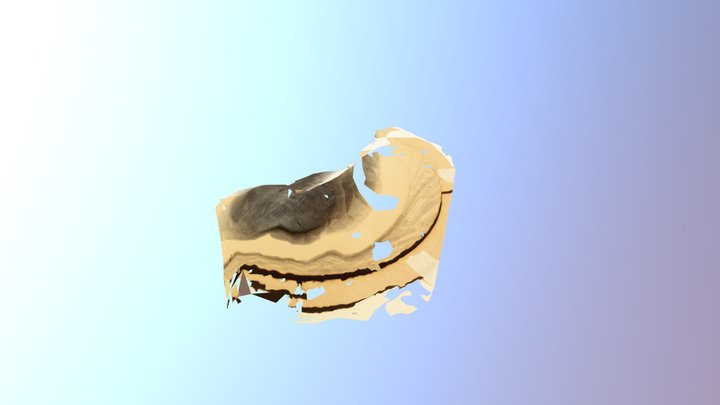 Mouse 3D Model