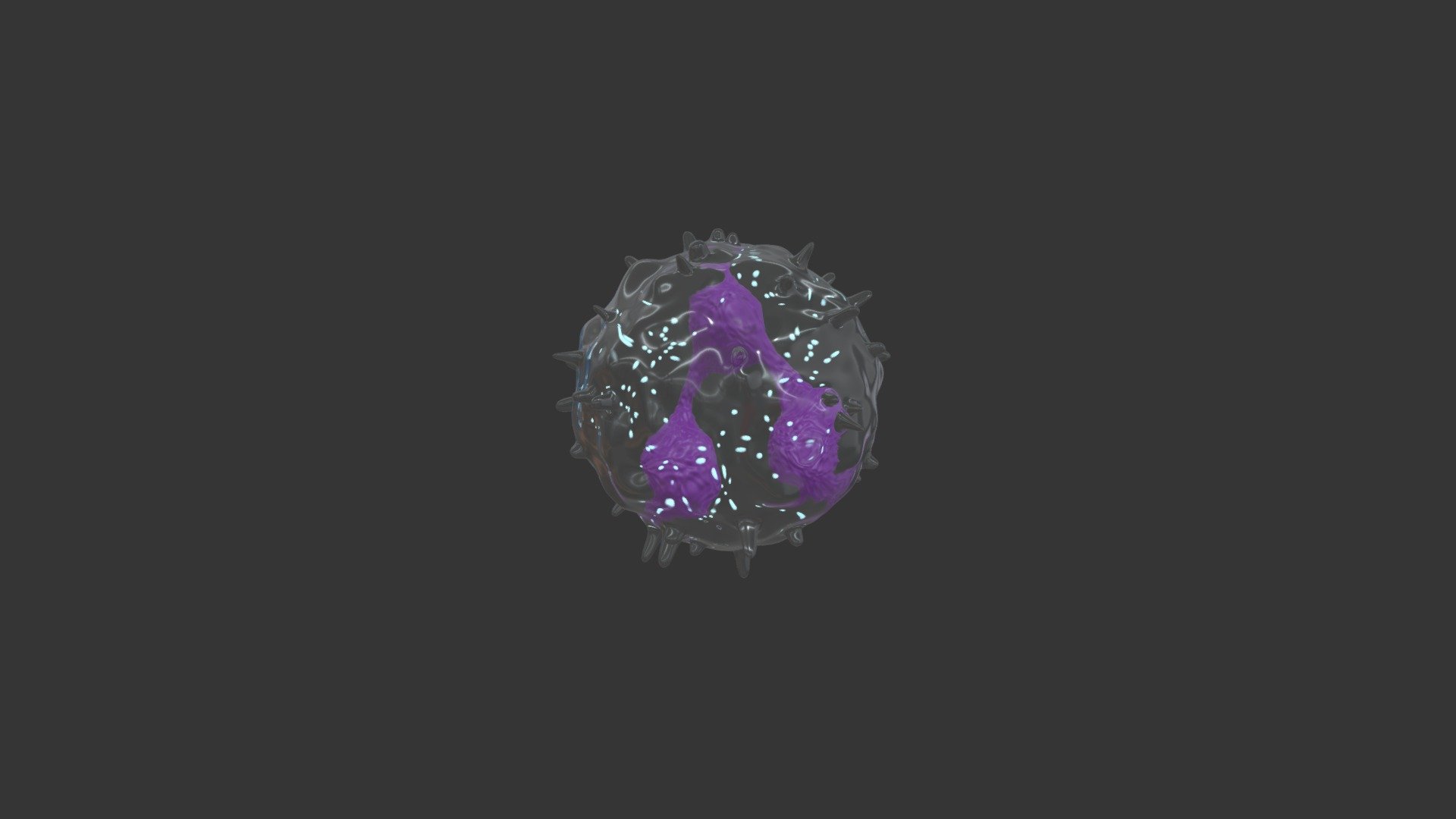 【Leukocyte】Neutrophil