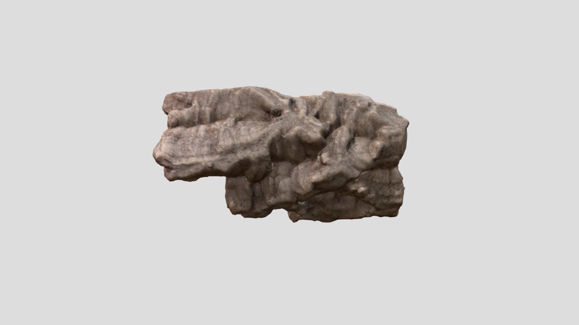 Convex Bark