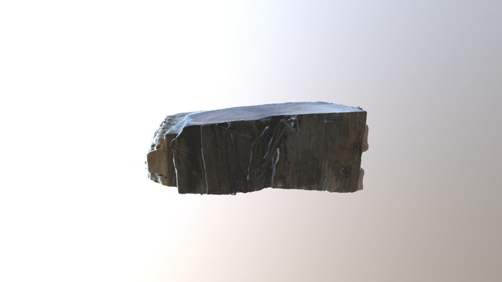 Section from Shipswreck 3D Model
