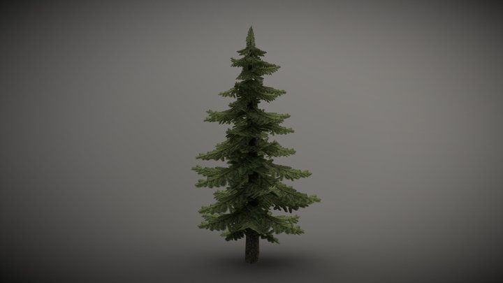 Spruce Tree | Mid Poly | With LODs 3D Model