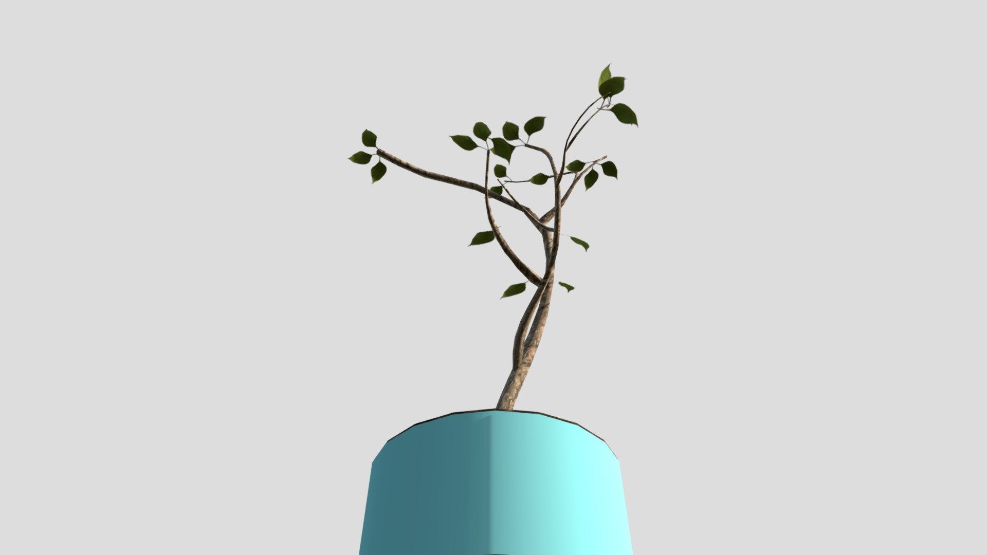 TianqiYin_Plant