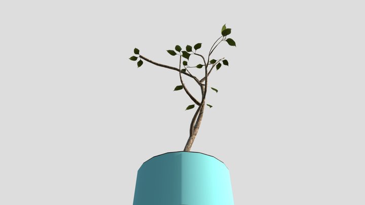 TianqiYin_Plant 3D Model
