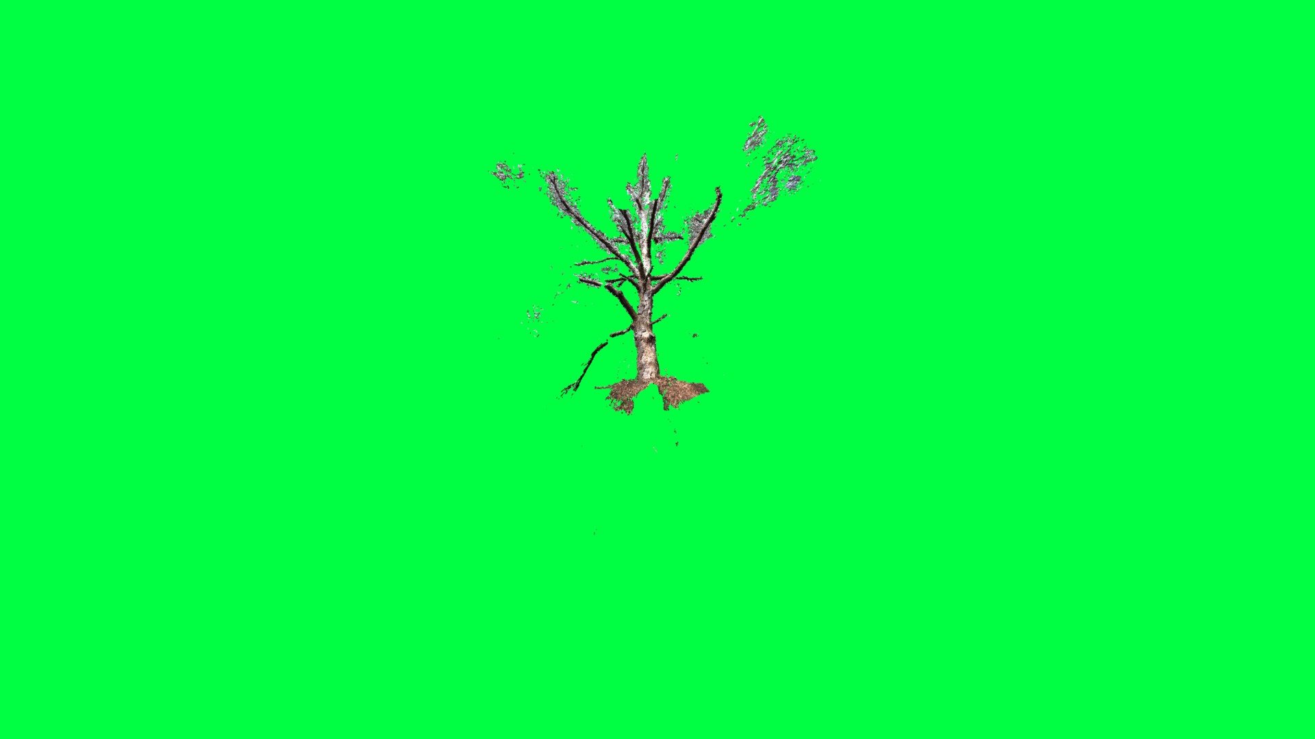 Deadtree 2 Agisoft