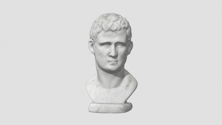 Agrippa Bust 3D Model