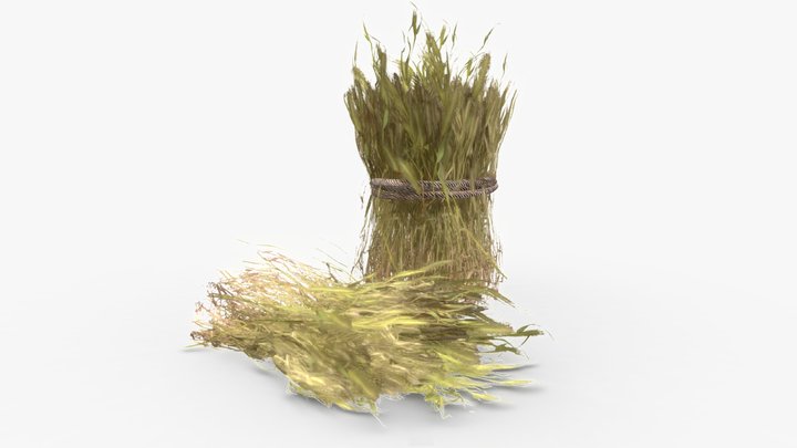 Harvested Barley Rolls 3D Model