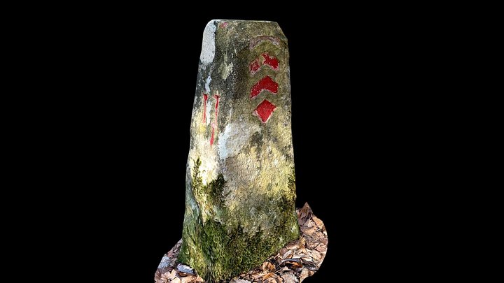 borNE.FVSA-NEUC.aj 3D Model