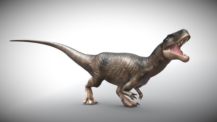 Megalosaurus 3D Model