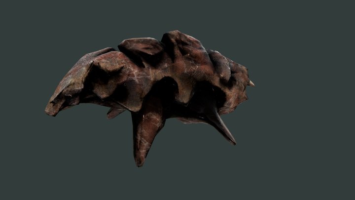 Alien Fauna: Sea-Pig – Free 3D Model STL
