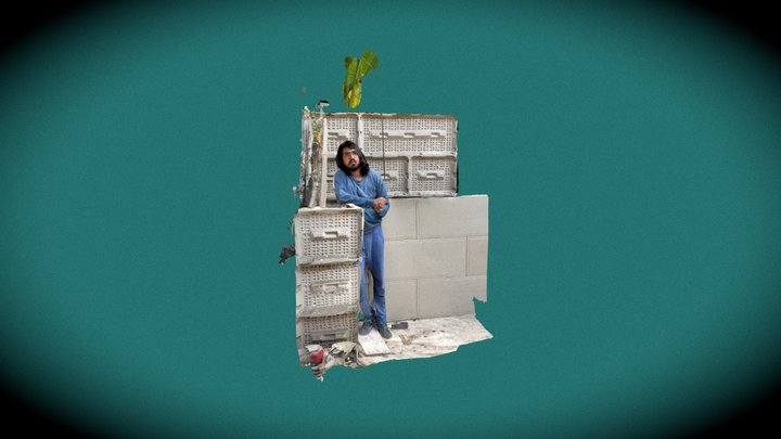 Harry, Plastidobe 3D Model