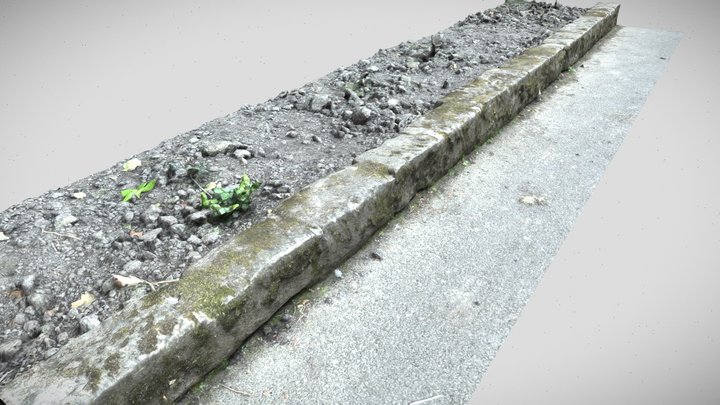 a moss covered kerb scan 3D Model