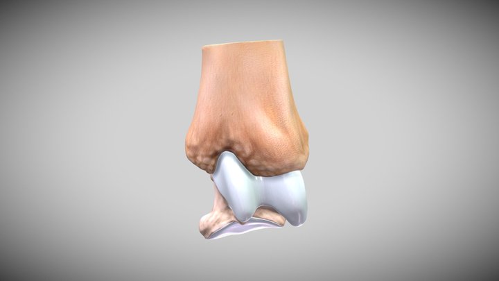 DJD Horsejoint Try6 3D Model